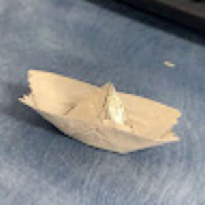 Meet your Posher, Audrey